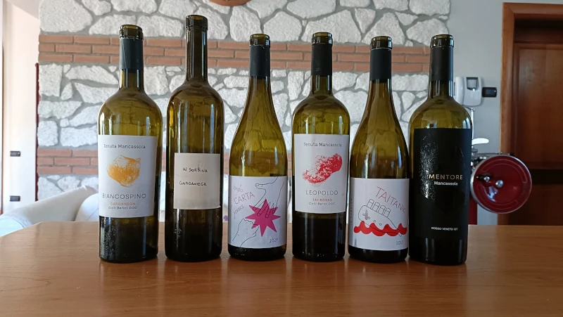 vini colli berici in sordina